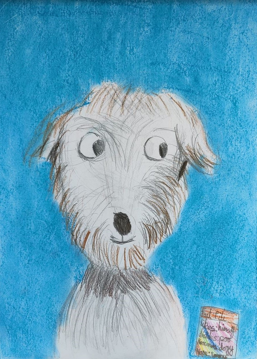 CUTE PUP, DOGGY DRAWING, COLOURED PENCILS, SOFT PASTEL, CHALK, DOODLE BUNNY CREATIVE ART CLASSES, UK, CHILDREN ARTWORK.